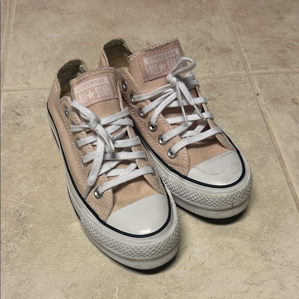 Converse All Star Blush Canvas Shoes